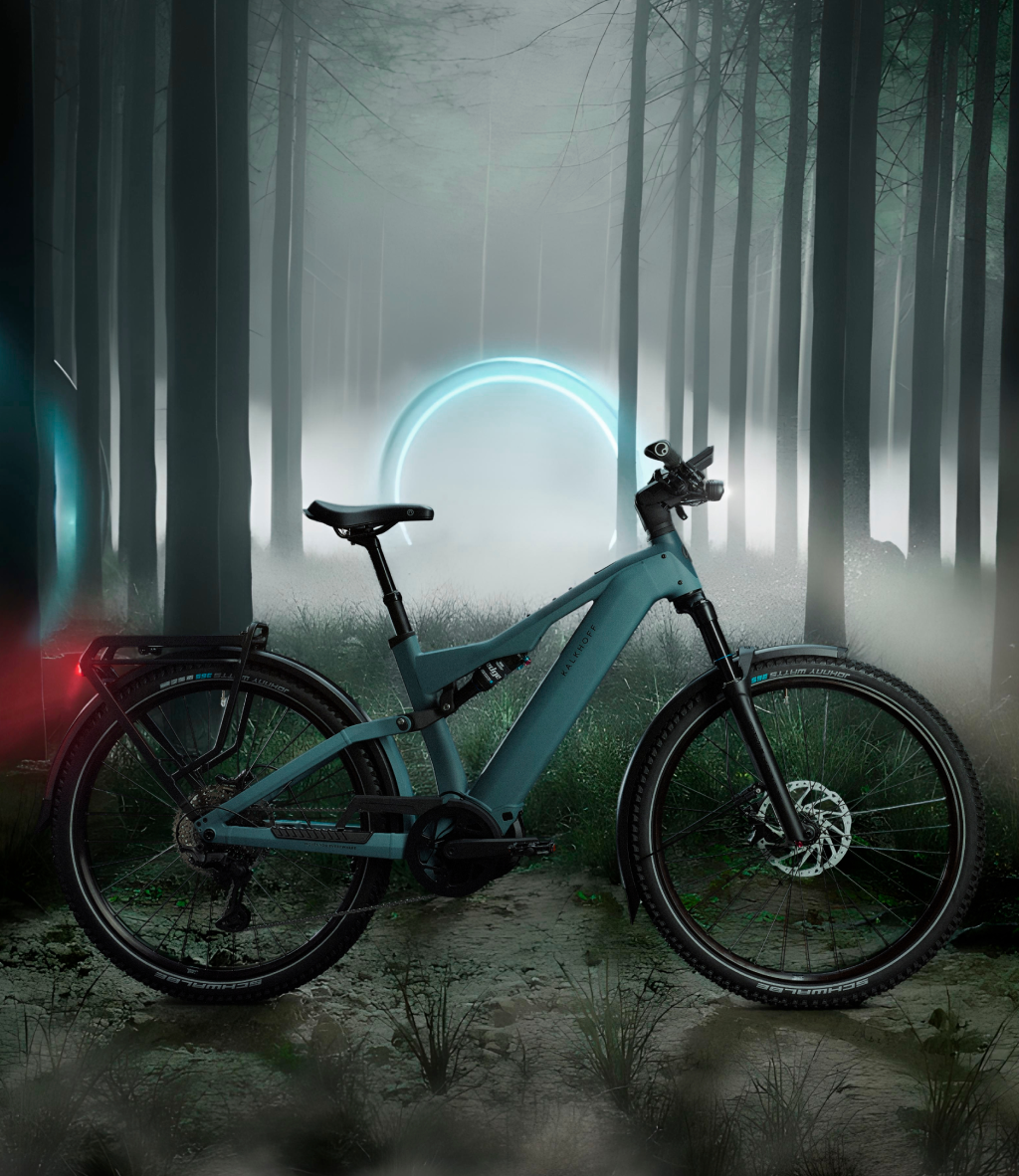 Pon.Bike Portal Interface