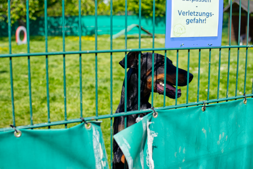 Cabaïa Europe - Cabaïa Europe