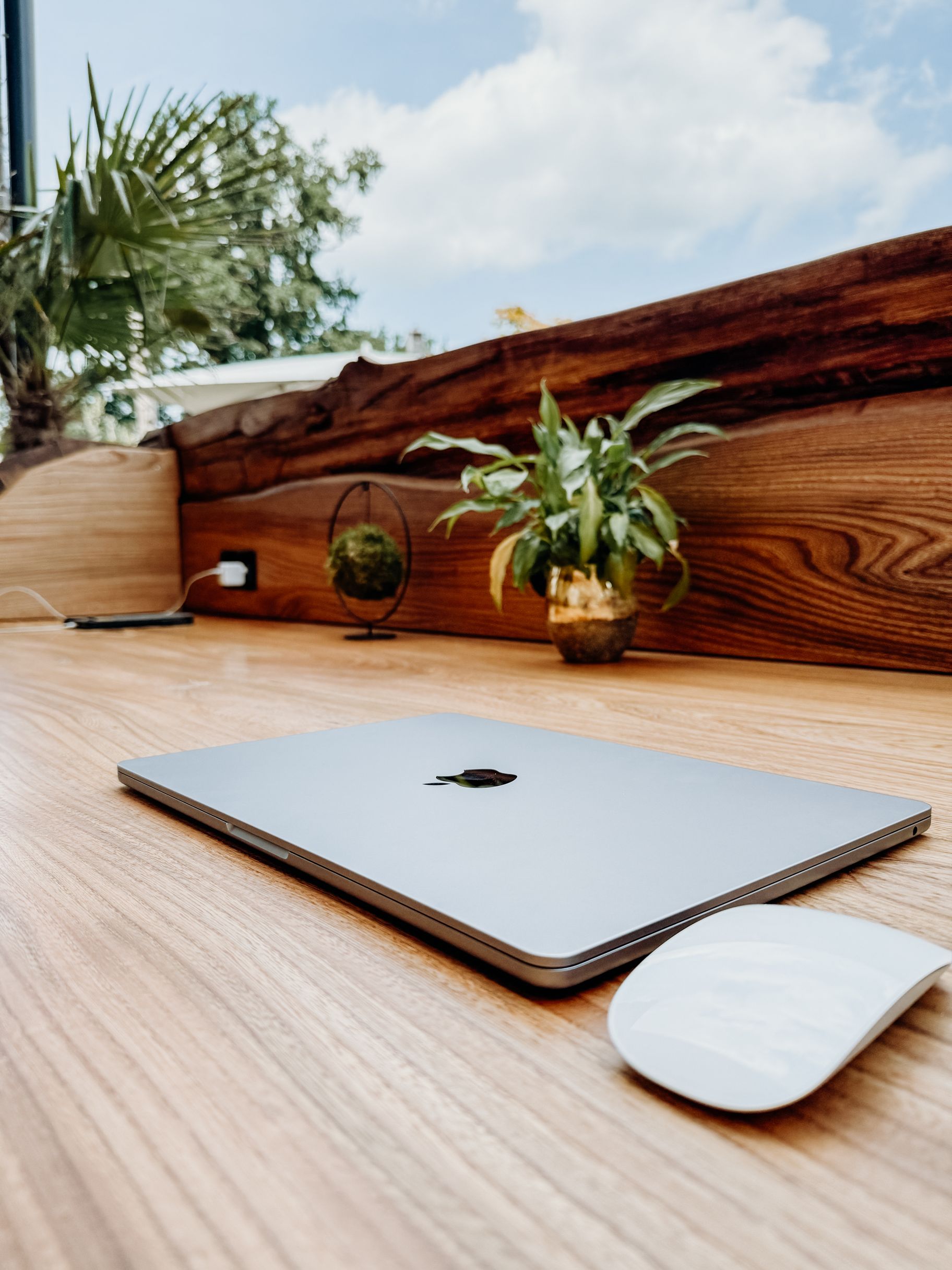 Mostrador de olmo con superficie natural – hecho de un único tronco macizo por Stammdesign