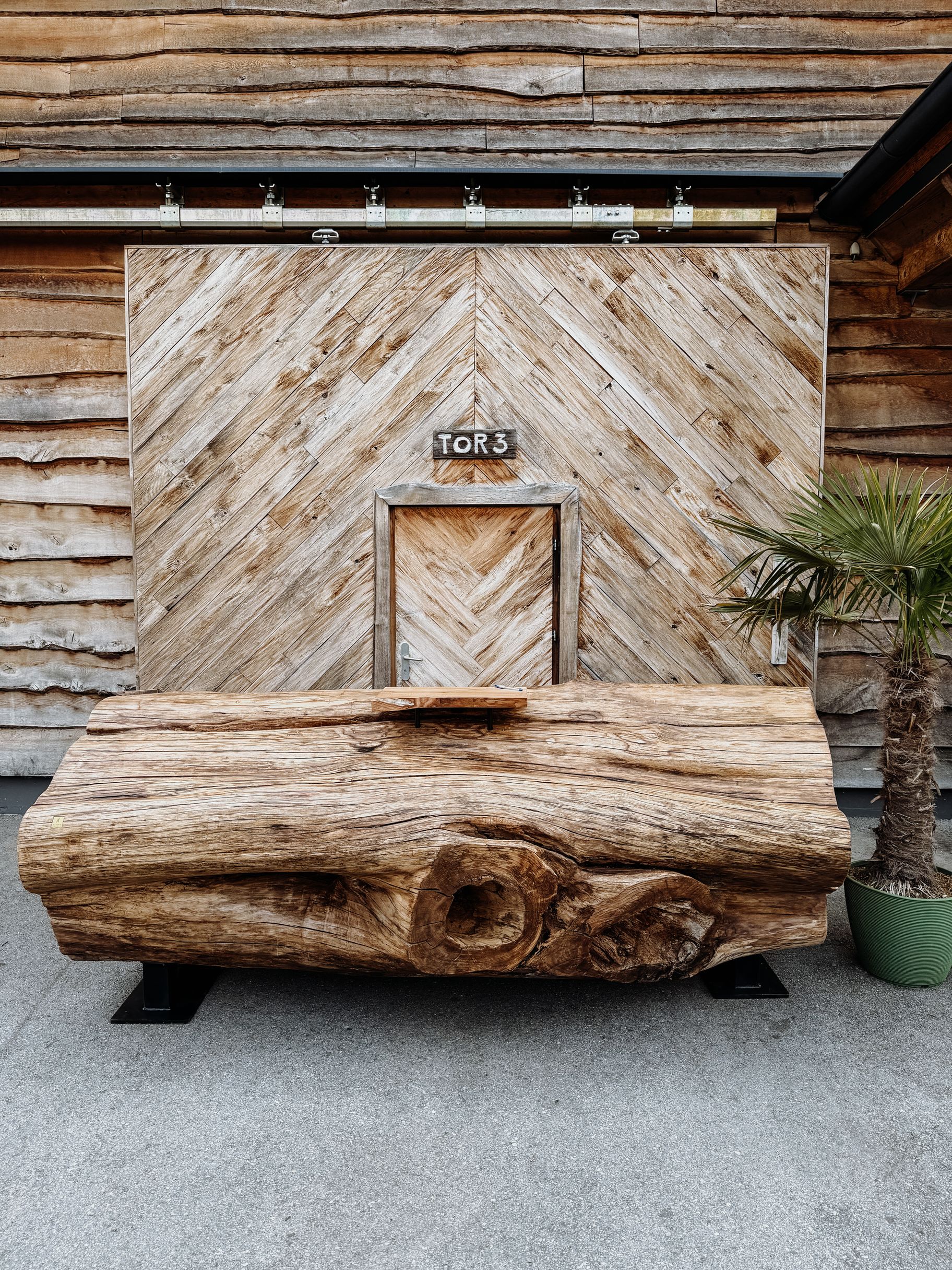 Recepción natural de Stammdesign hecha de un tronco completo de olmo con vetas continuas y forma singular