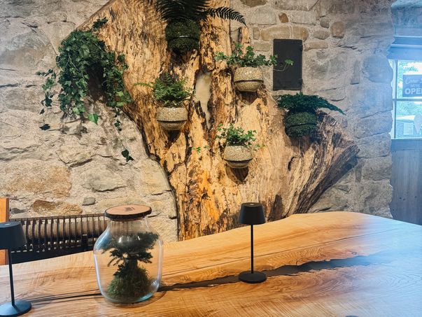 Wanddeko aus einem massiven Baumstamm von Stammdesign, handgefertigt mit einzigartiger Maserung
