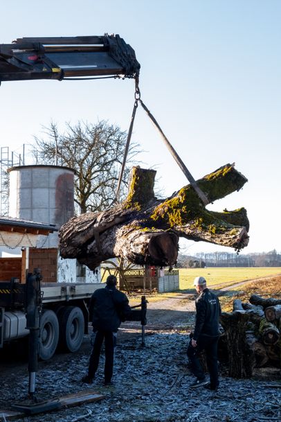 Alter Baumstamm wird mit Kran verladen – regionales Holz für handgefertigte Baumstammtische aus der Stammdesign Manufaktur