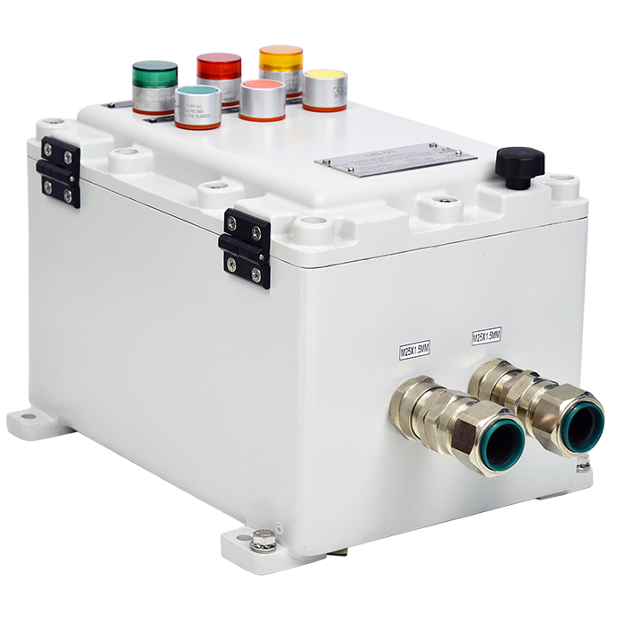 ATEX Flameproof IIB+H2 Enclosure Series IJB