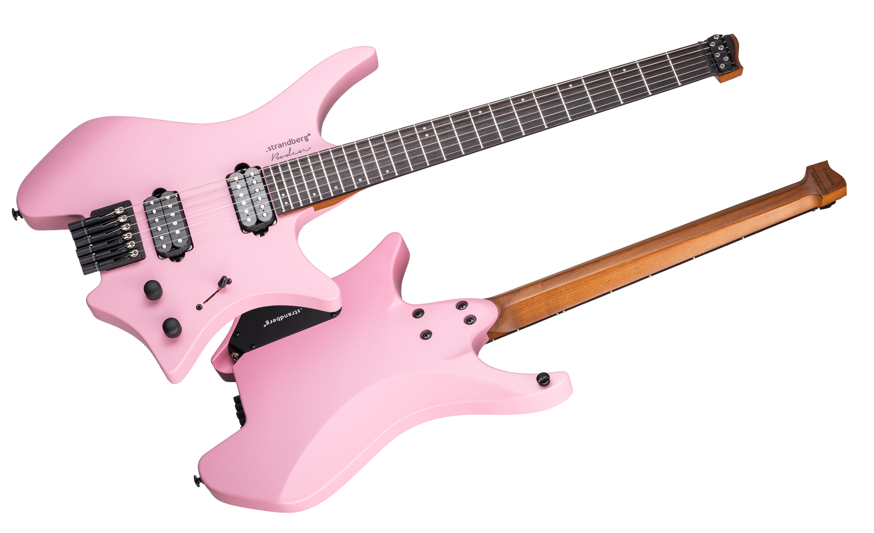 coral-pink-1.png