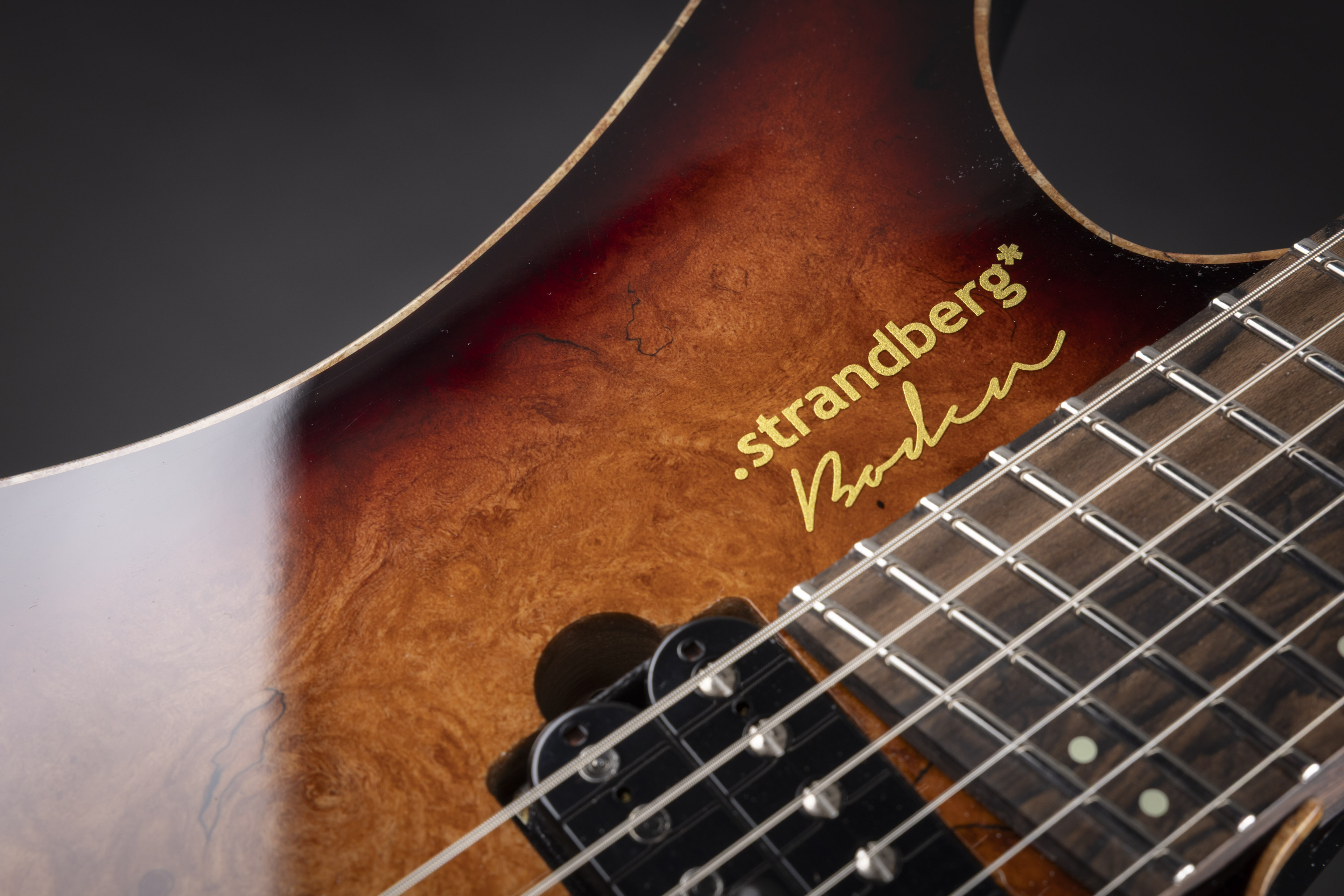 strandberg* Guitars