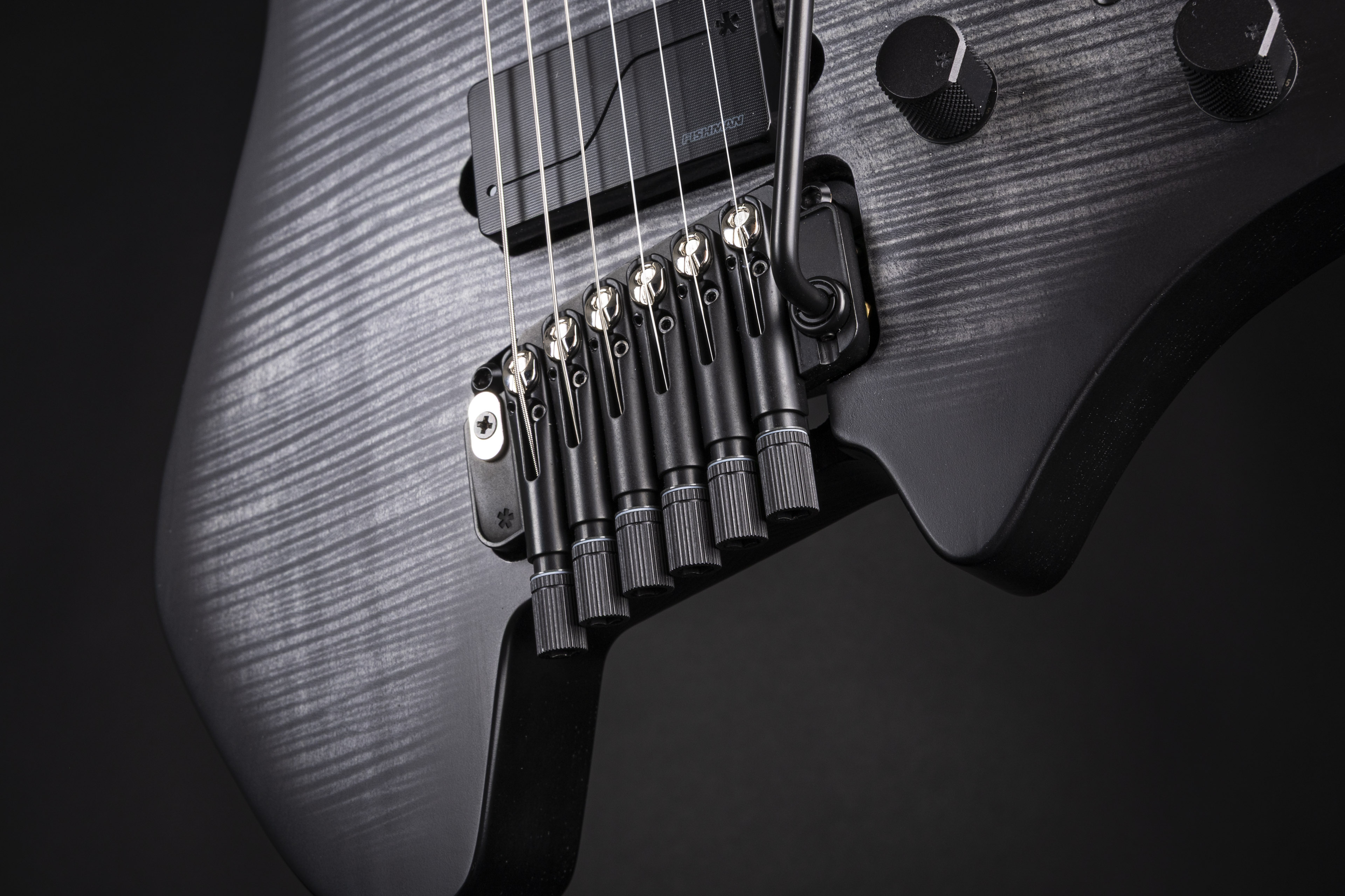 strandberg* Guitars
