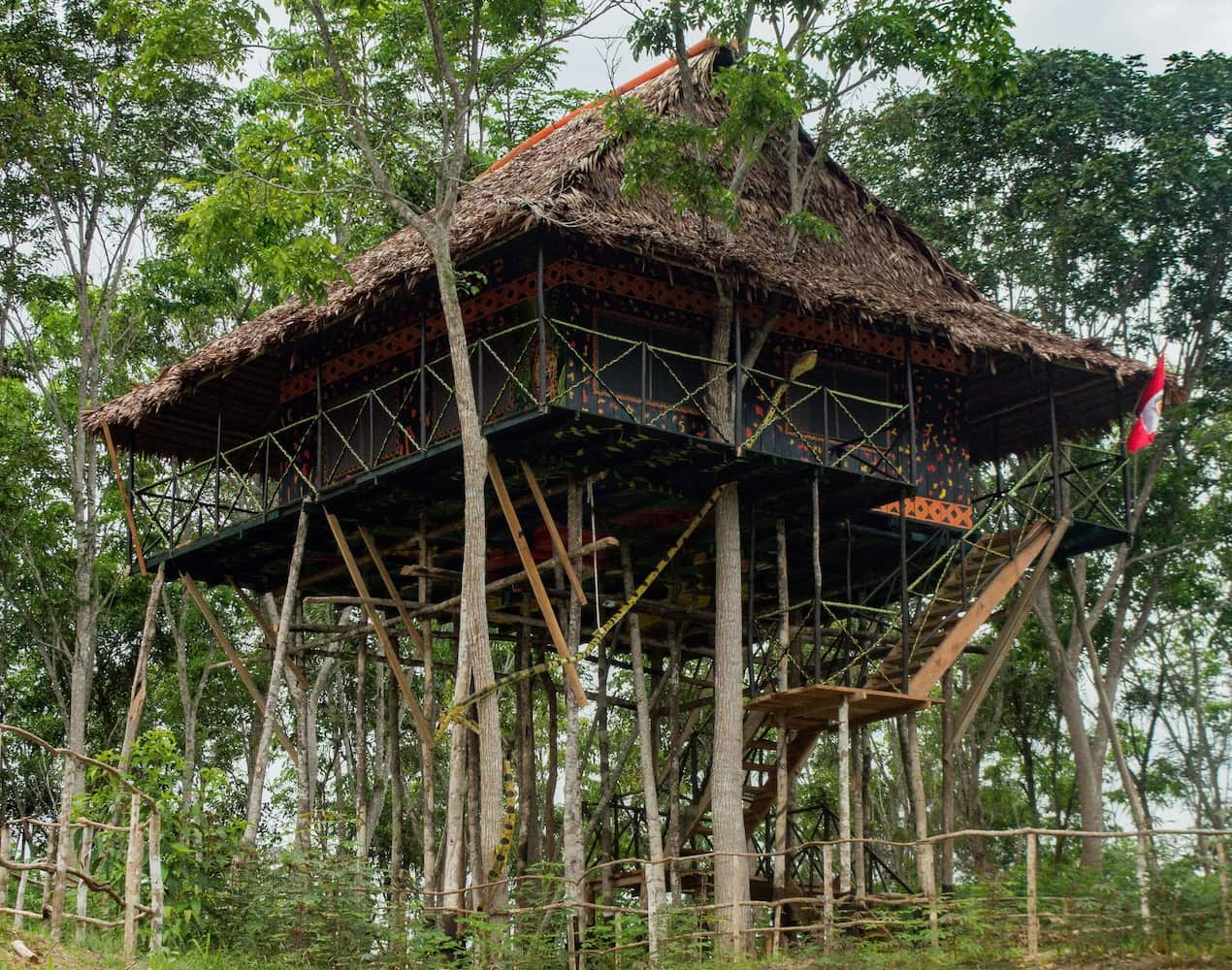 在秘鲁的树屋住宿：在亚马逊丛林中睡觉| Firsty