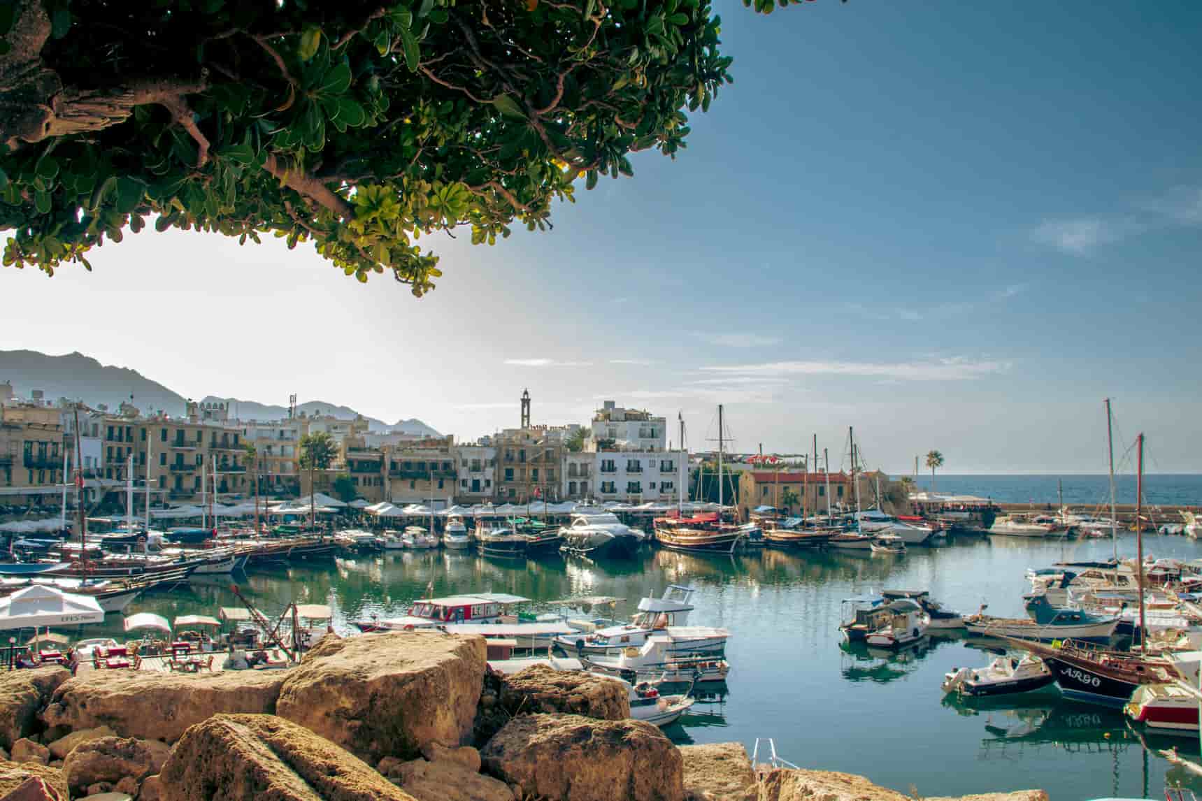 A picturesque harbor filled with moored boats, surrounded by historic buildings, mountains in the background, and a tree in the foreground.