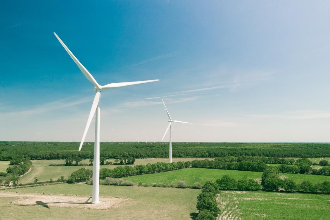 A guide to understanding carbon neutrality for accounting firms