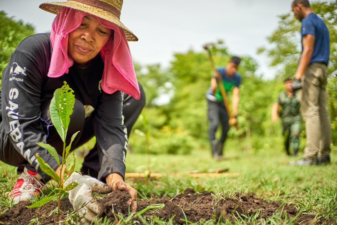 How we offset our carbon emissions, and what you can learn from our experience