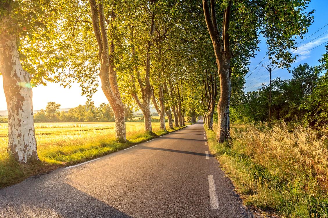 What to consider before escaping the city to work remotely