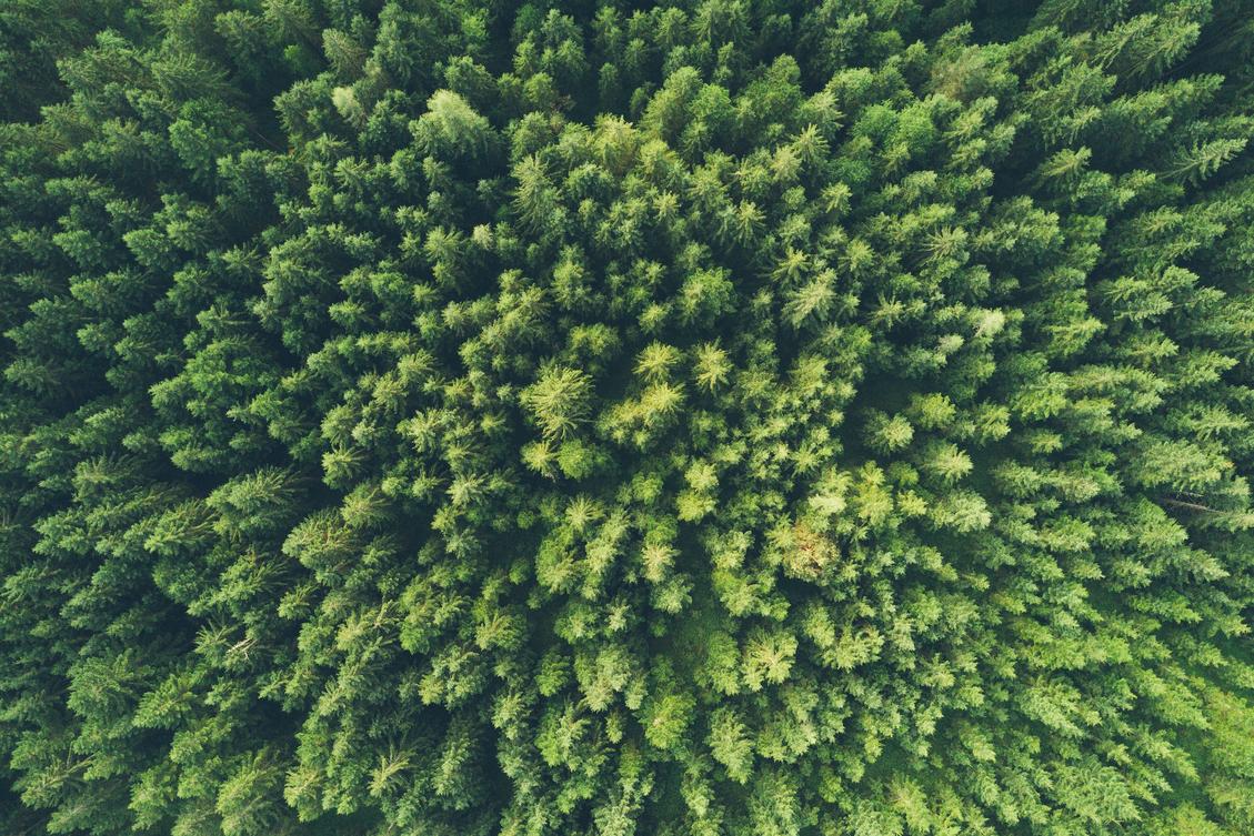Accountants vs. climate change: Make a difference and a profit