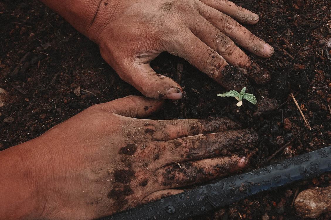 The business case for offering carbon neutrality advisory at your accounting firm