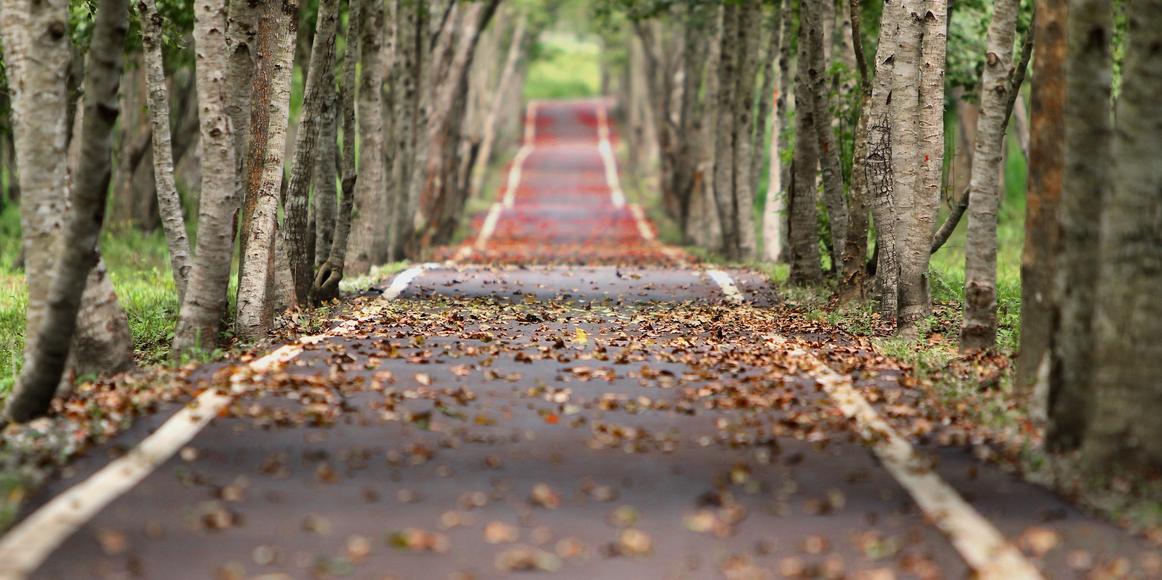 Practice Excellence Insights 2 Growing Pains