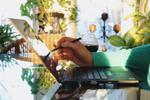 An arm with a green shirt sleeve holding a digital pen to a laptop with a beer next to it in a well-lit room filled with plants.