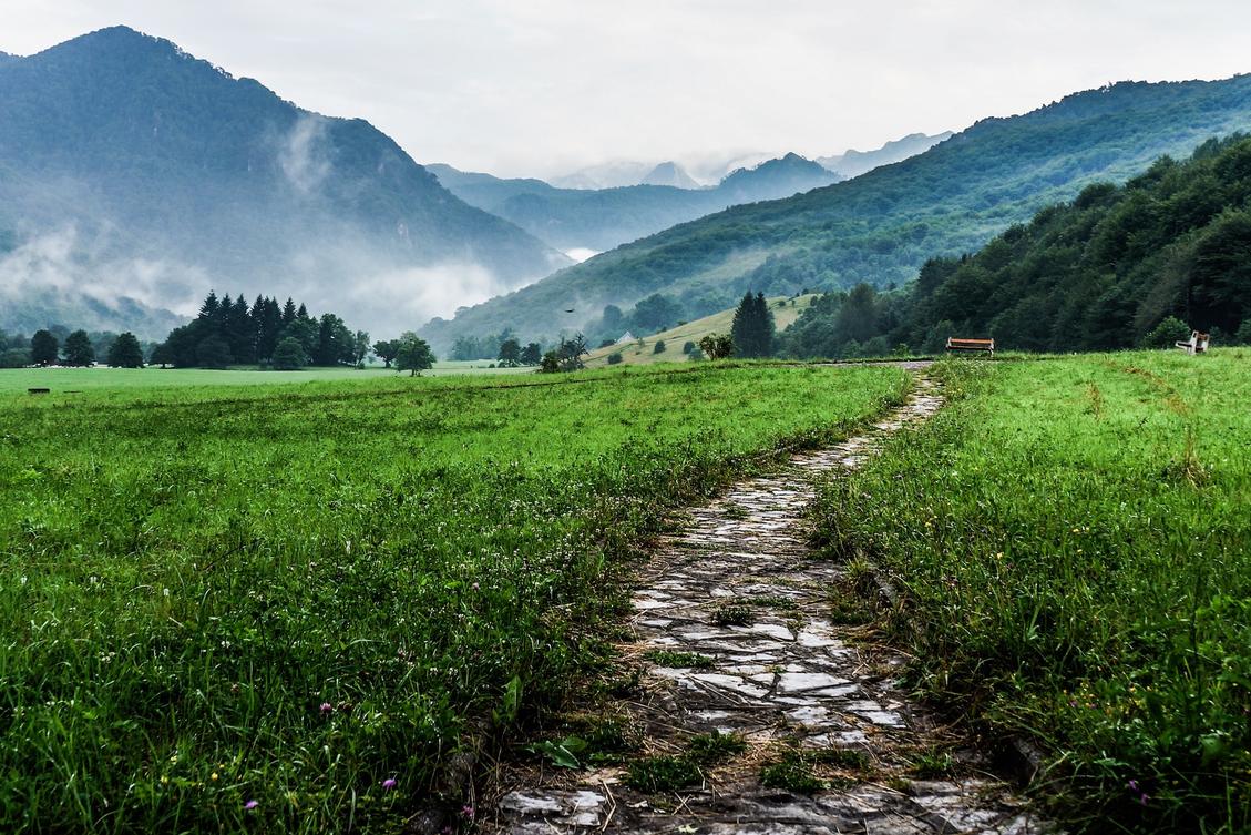 The legacy pathway