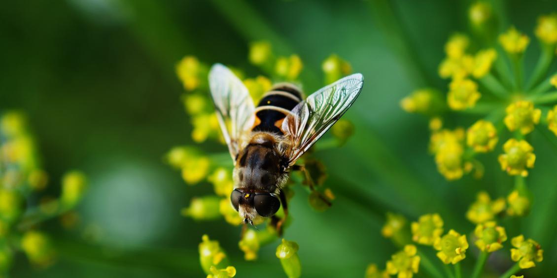 How-finders-minders-grinders-fit-into-the-modern-firm