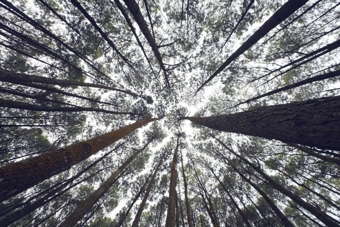 Scaling-your-business
