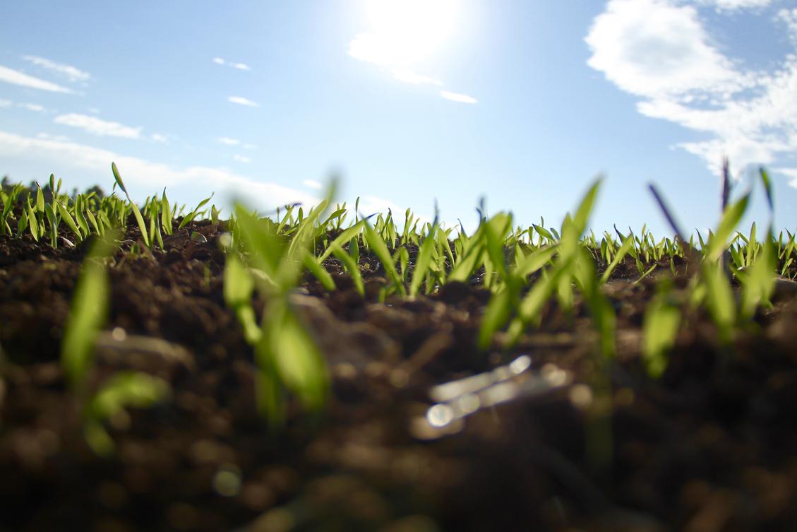 10Barriers-handling-growth