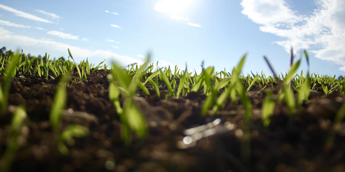 10Barriers-handling-growth