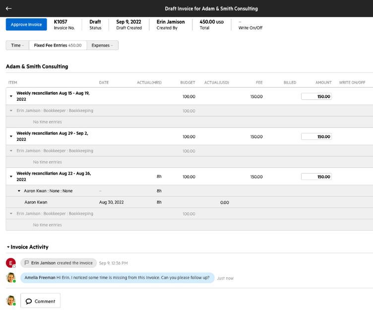 Invoice activity with commenting
