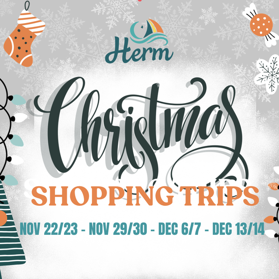 CHRISTMAS SHOPPING TRIPS