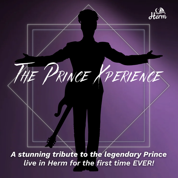 THE PRINCE XPERIENCE