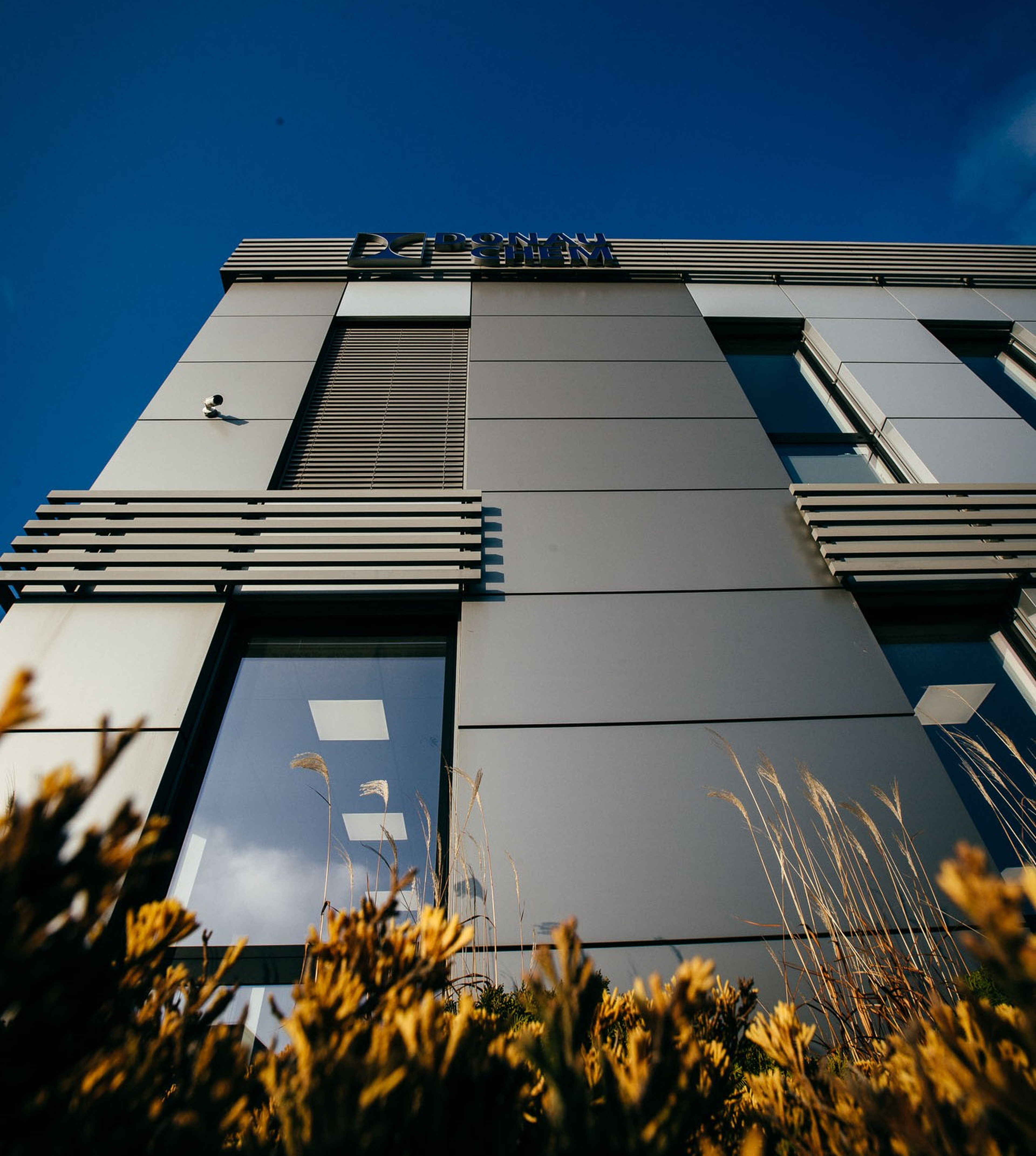 dch