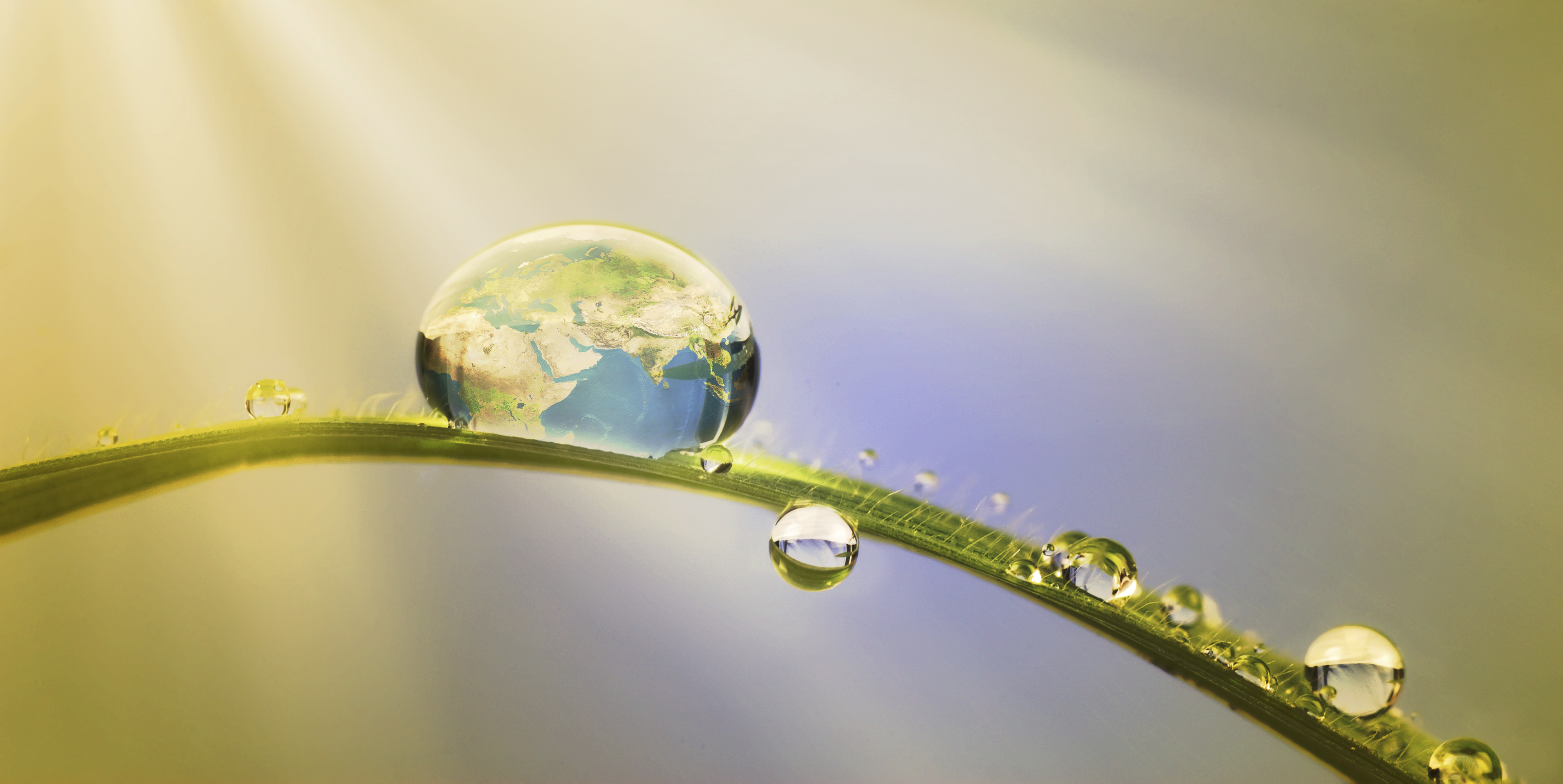 The World in a Drop