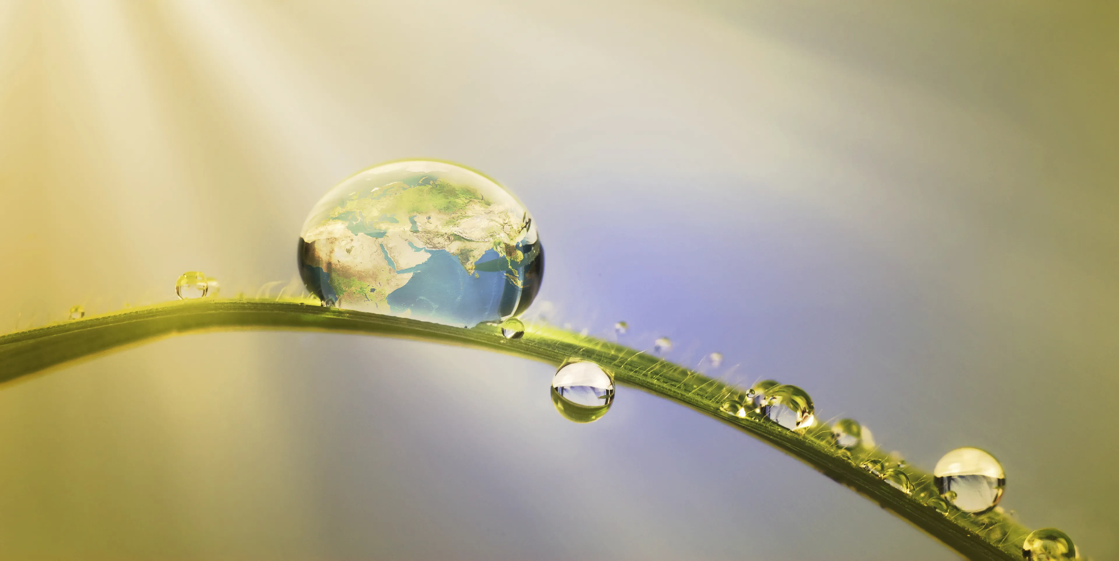 The World in a Drop