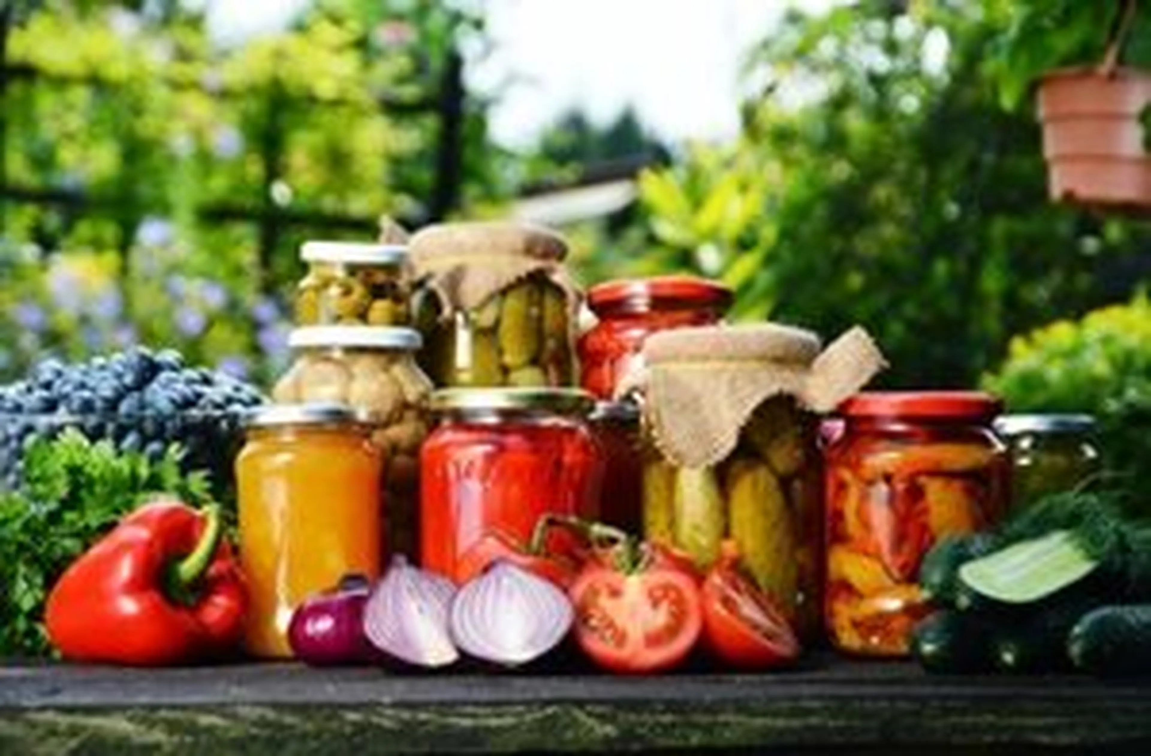 Foto_Zpracovane-ovoce-a-zelenina