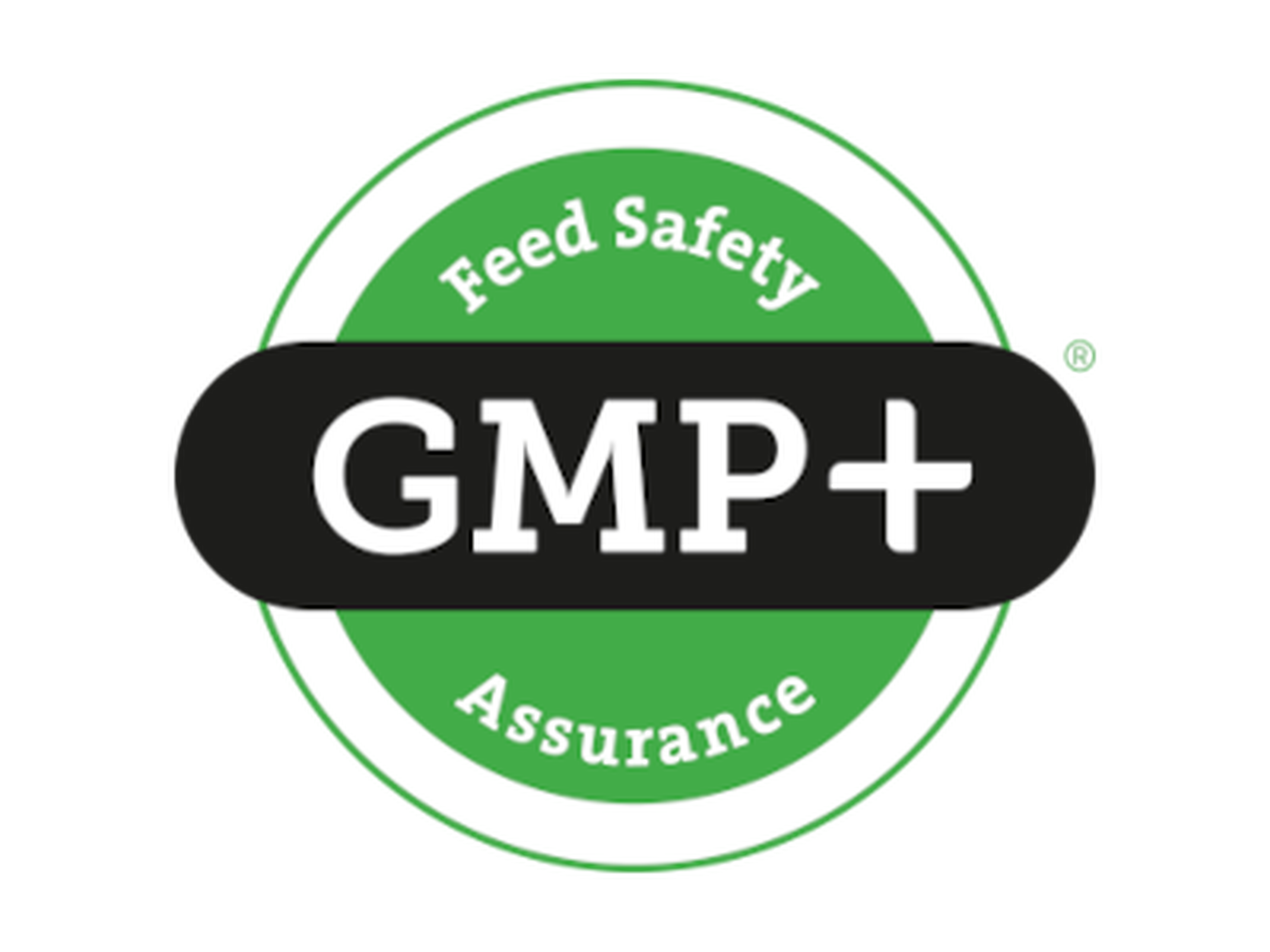 gmp