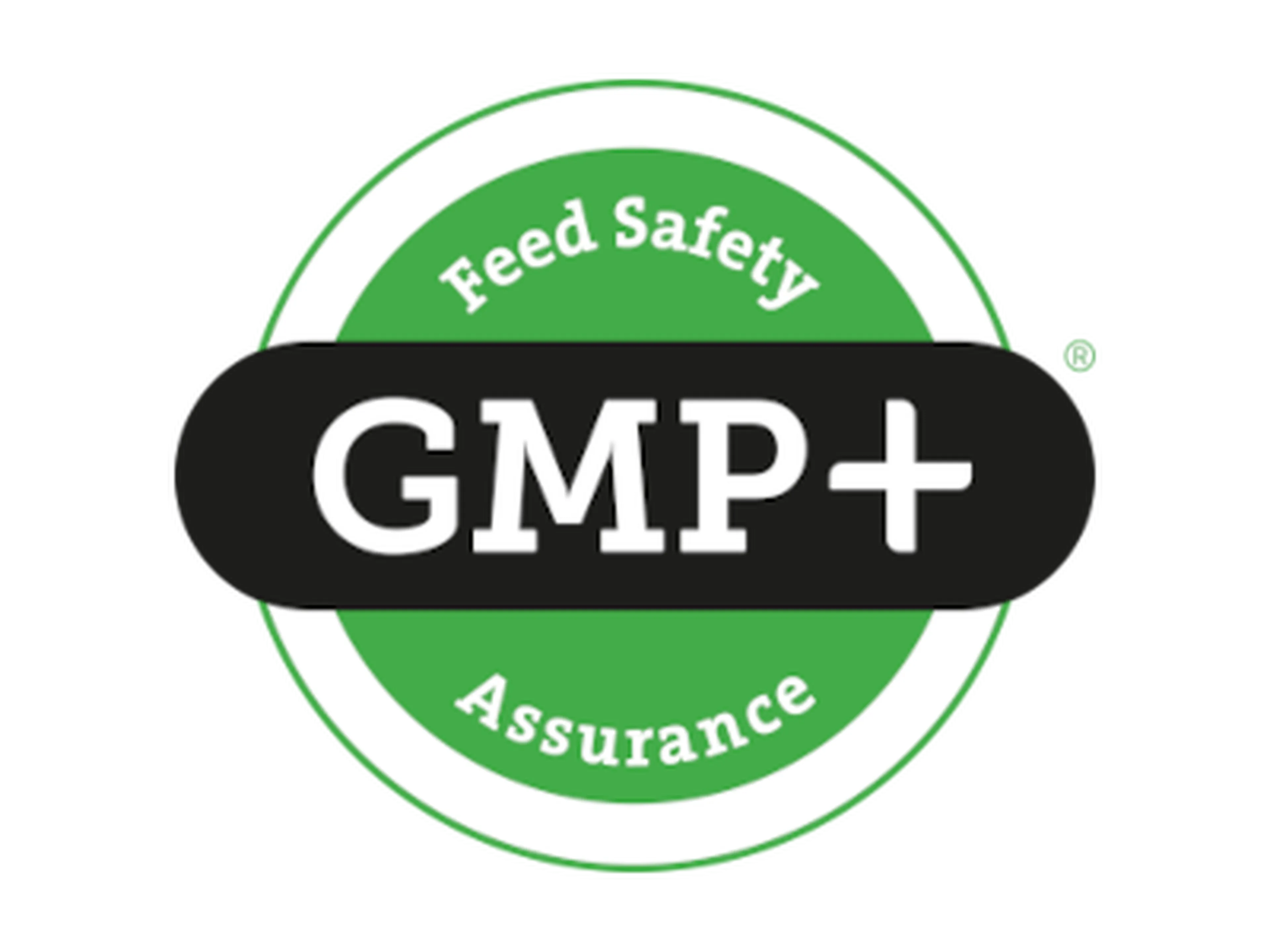 gmp