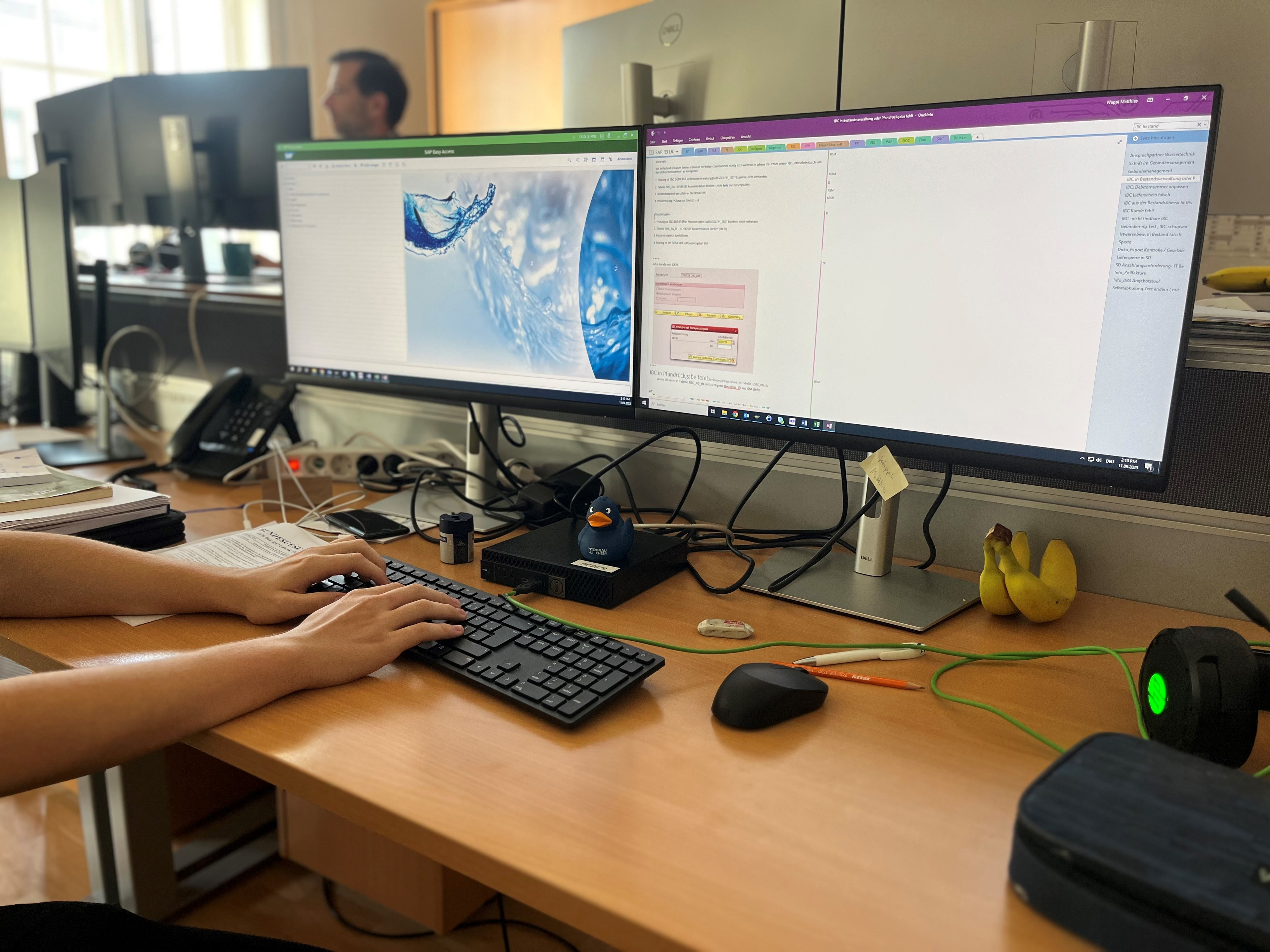 zwei Computerbildschirme von Applikationsentwicklung / Coding Lehrling