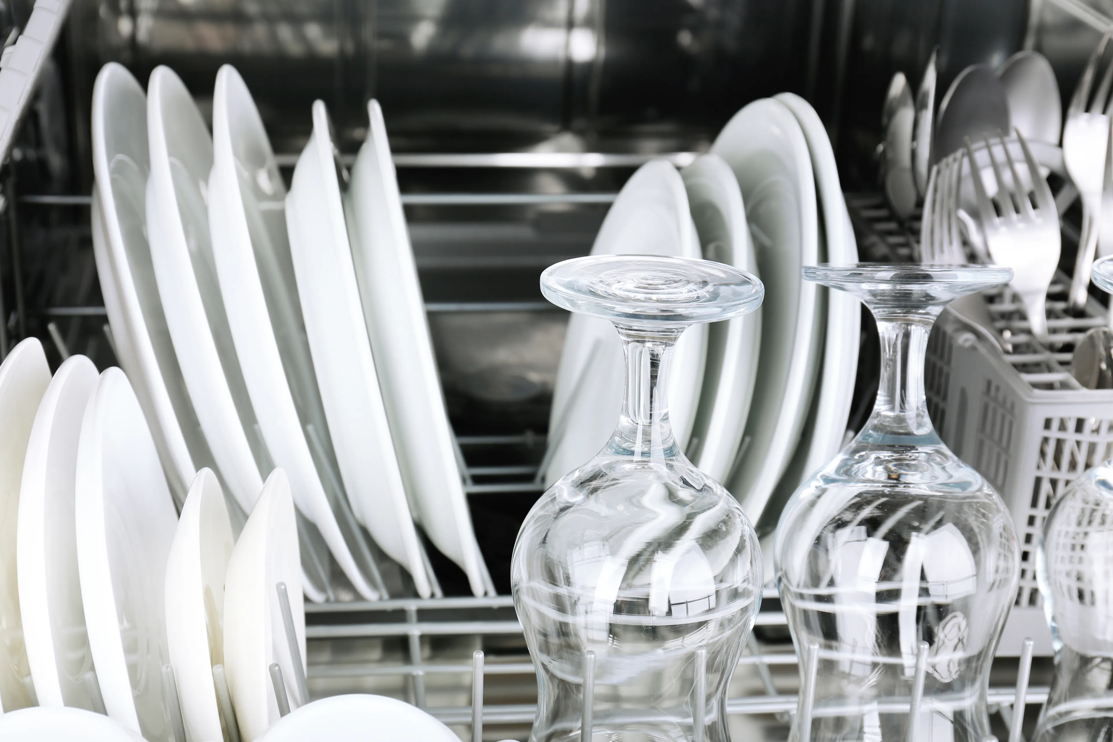 Dishes in the dishwasher
