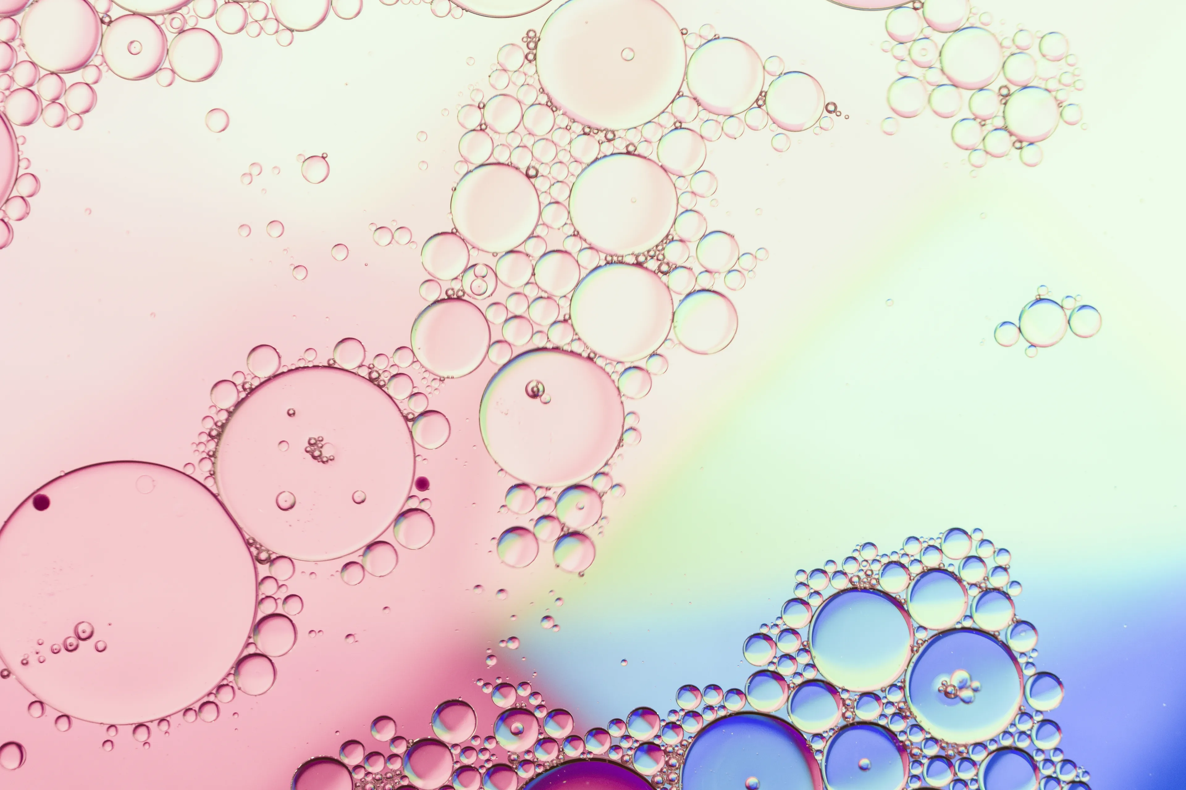 Bunte Blubberblasen