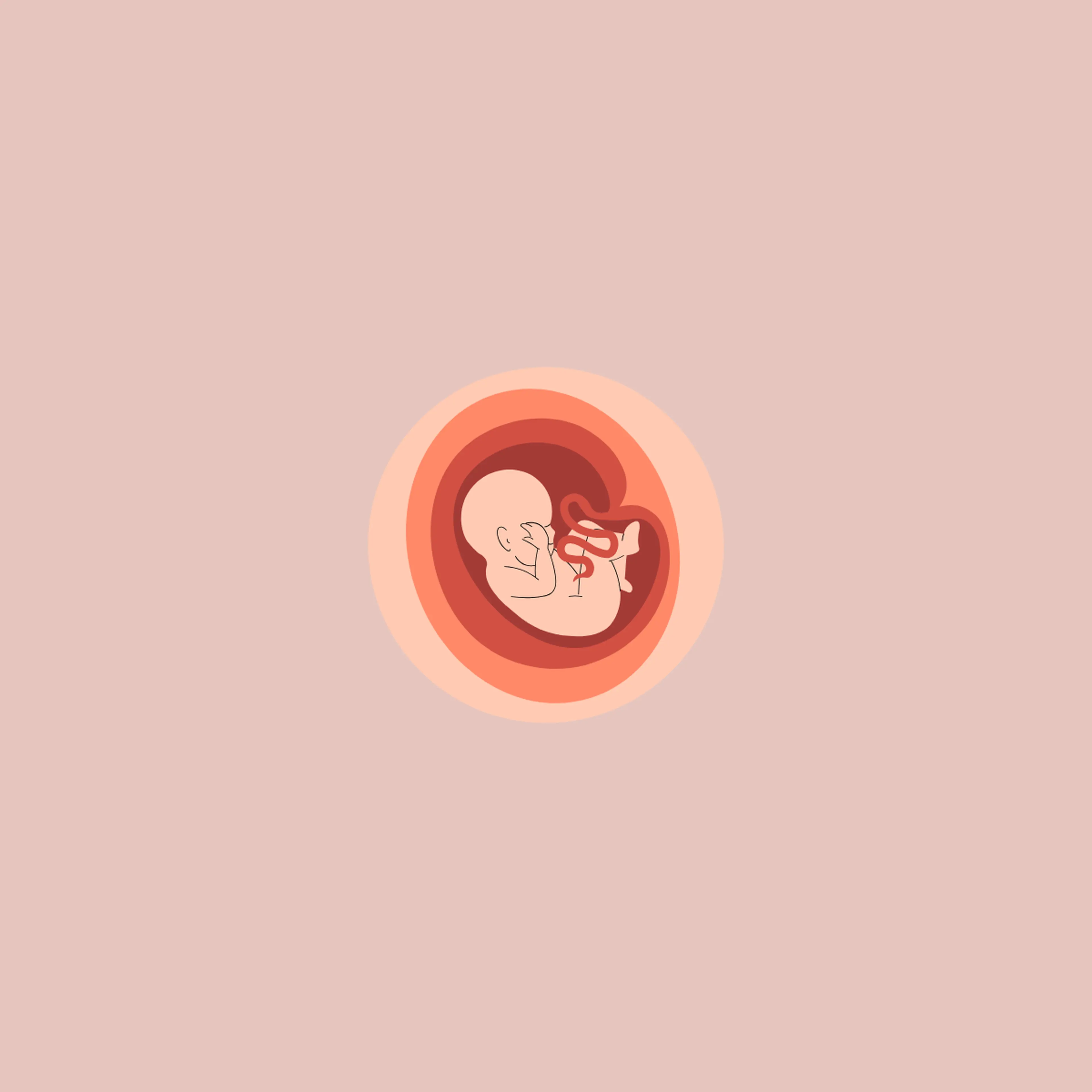 Illustration of a fetus with umbilical cord curled inside a womb, shown in pink and red tones on a light pink background.