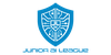 https://a.storyblok.com/f/322313/300x150/19cc9b88bc/logo-junior-ai-league.png