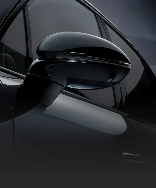 Detailed view of the Black (high-gloss) side window trim and exterior mirror trim on the Porsche Cayenne Black Edition in Chromite Black Metallic.