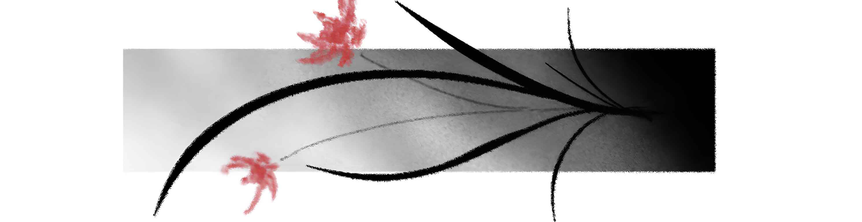 Wonderpost Cover Image