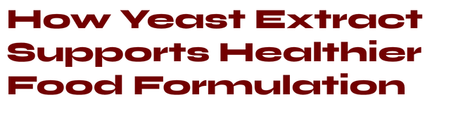 Yeast Extract Supports Healthier Food Formulation Biospringer by Lesaffre