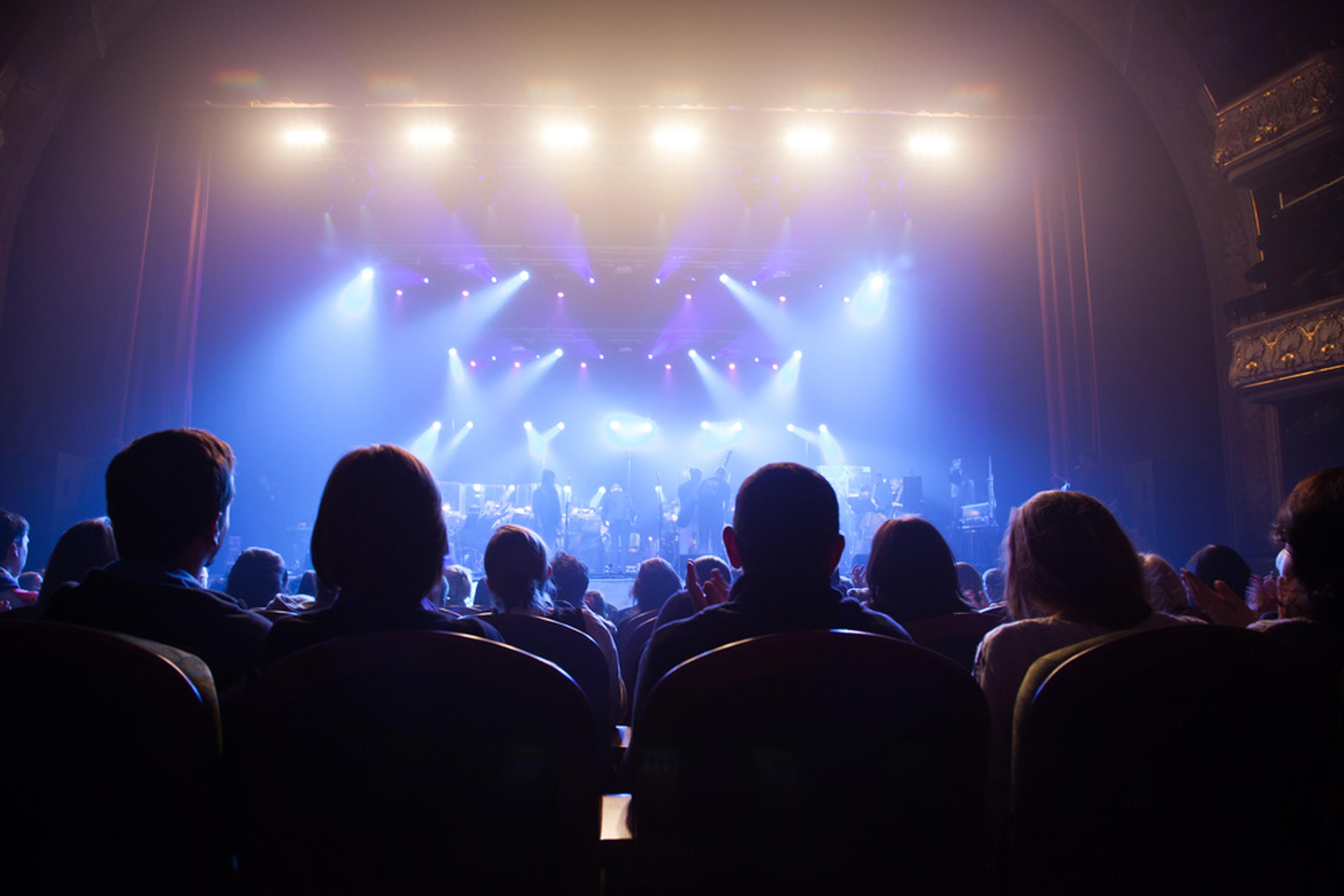 Crowd at a theatre watching an act.