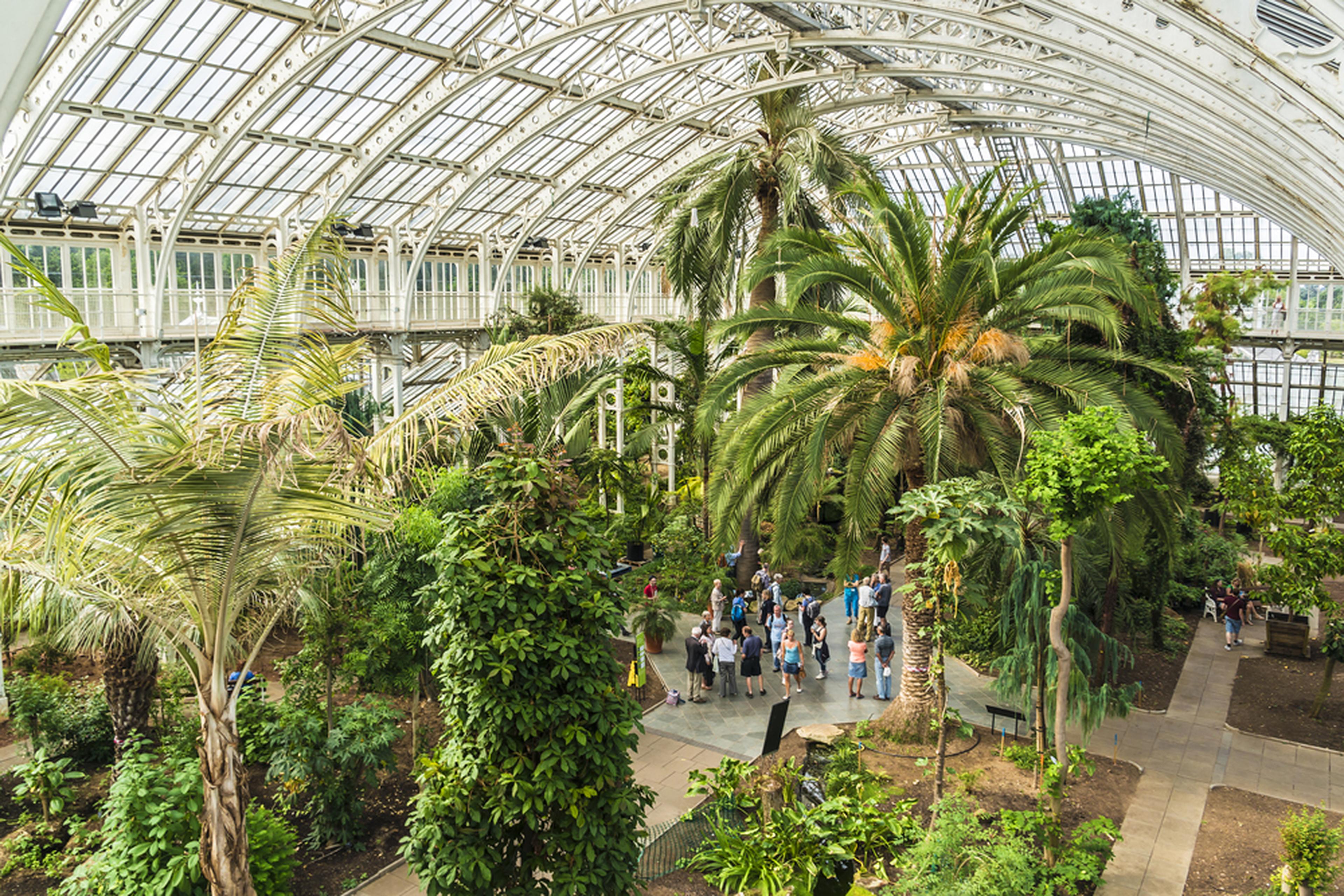 Arial view of the Palm house at Kew