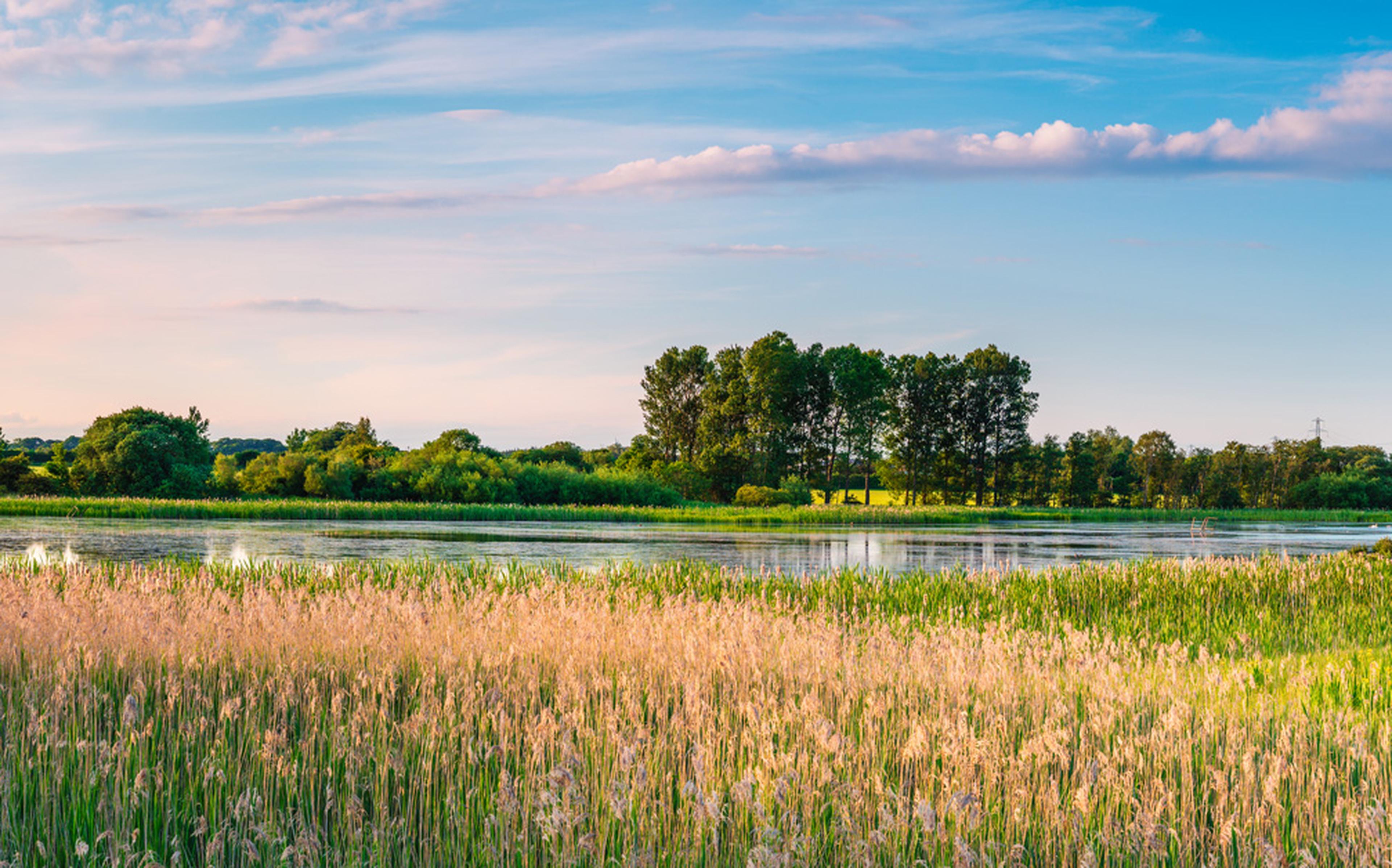 View of Nature reserve, Uk.