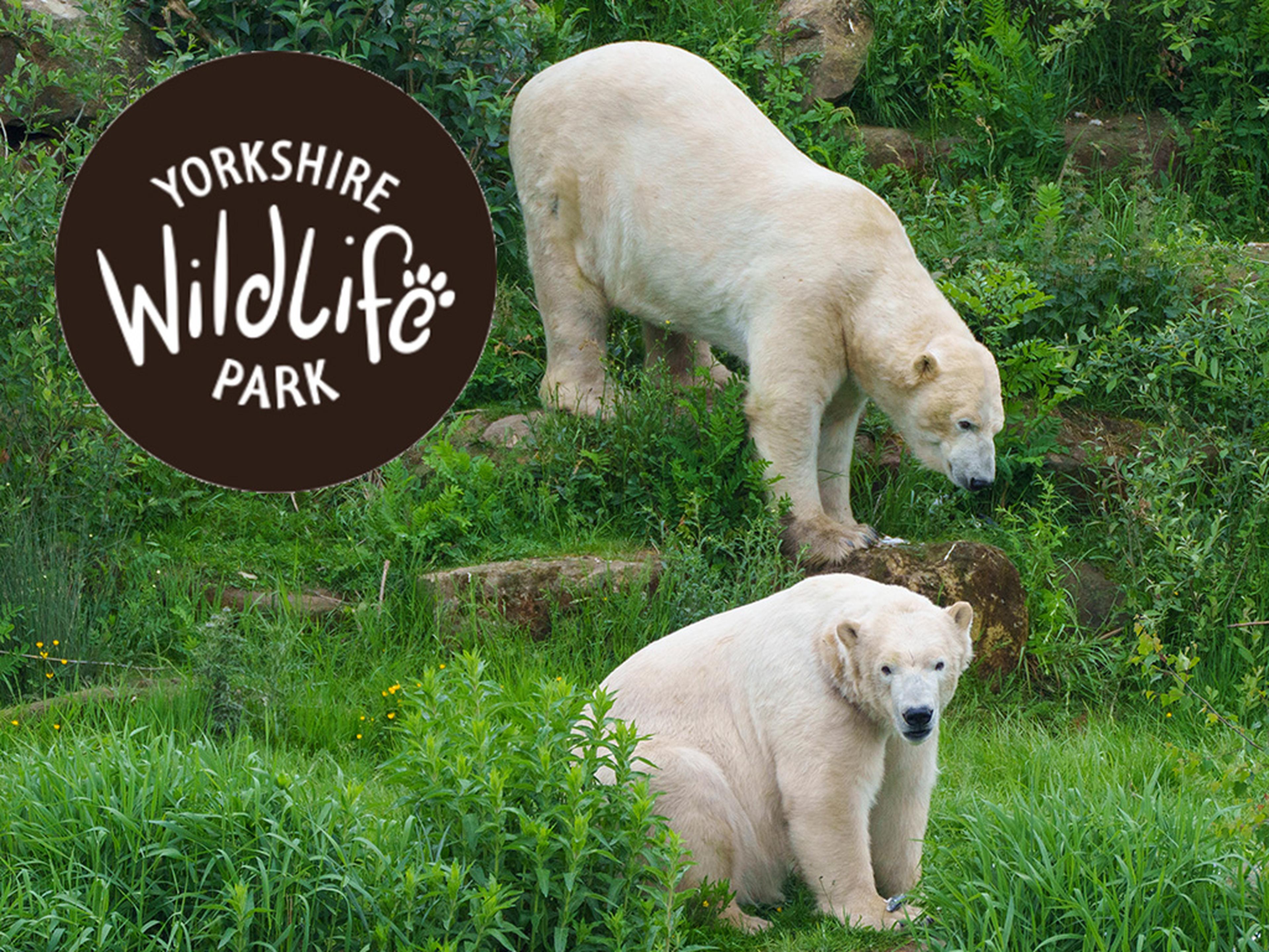 Yorkshire Wildlife Park