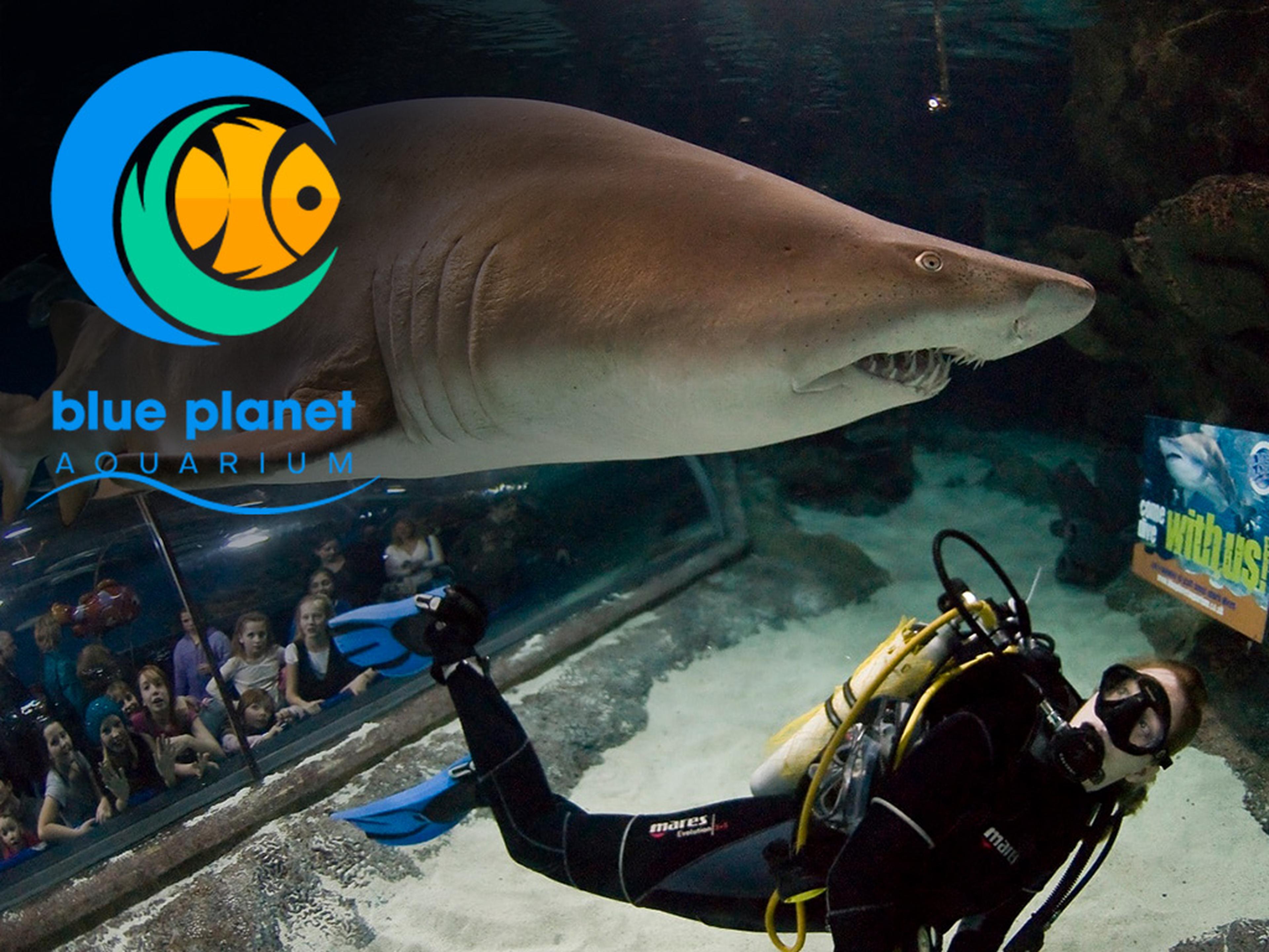 Blue Planet Aquarium