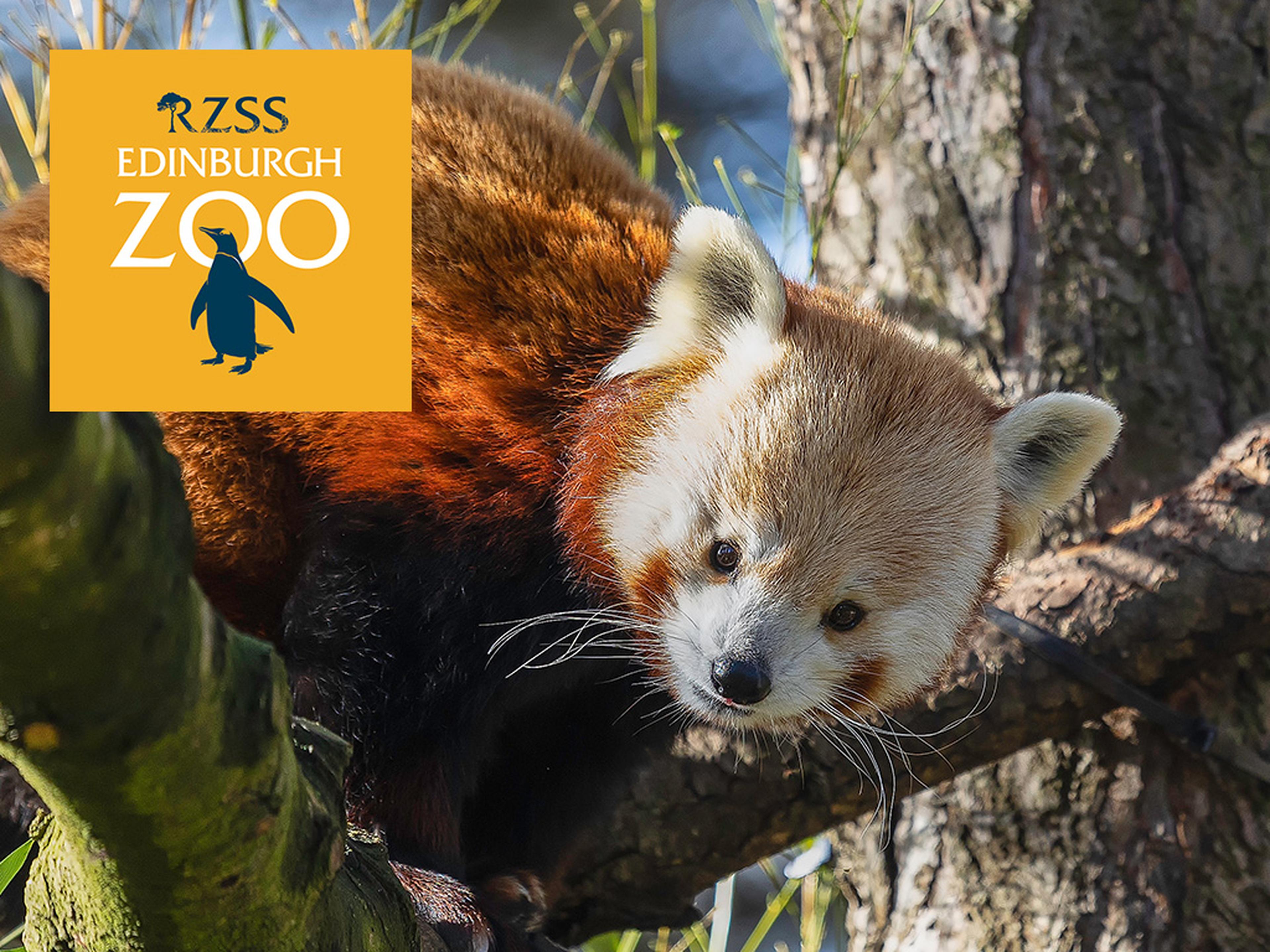 Edinburgh Zoo