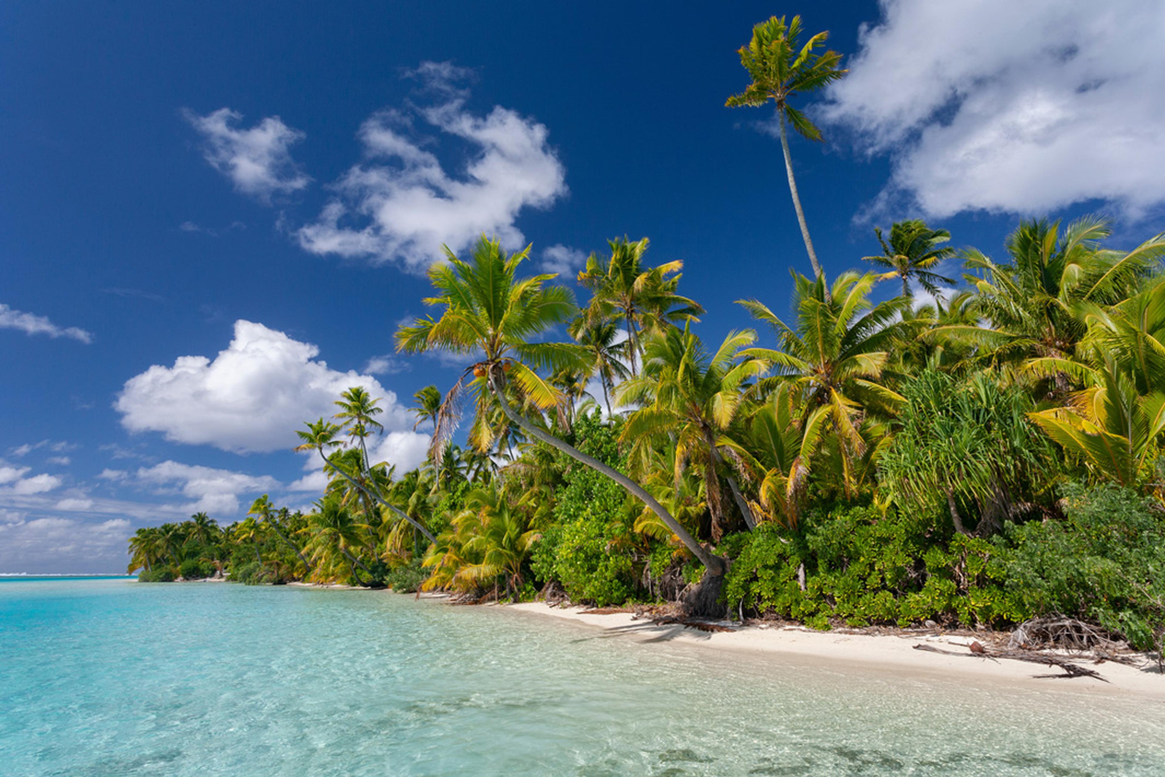Beautiful Caribbean island with palm trees and blue sea.