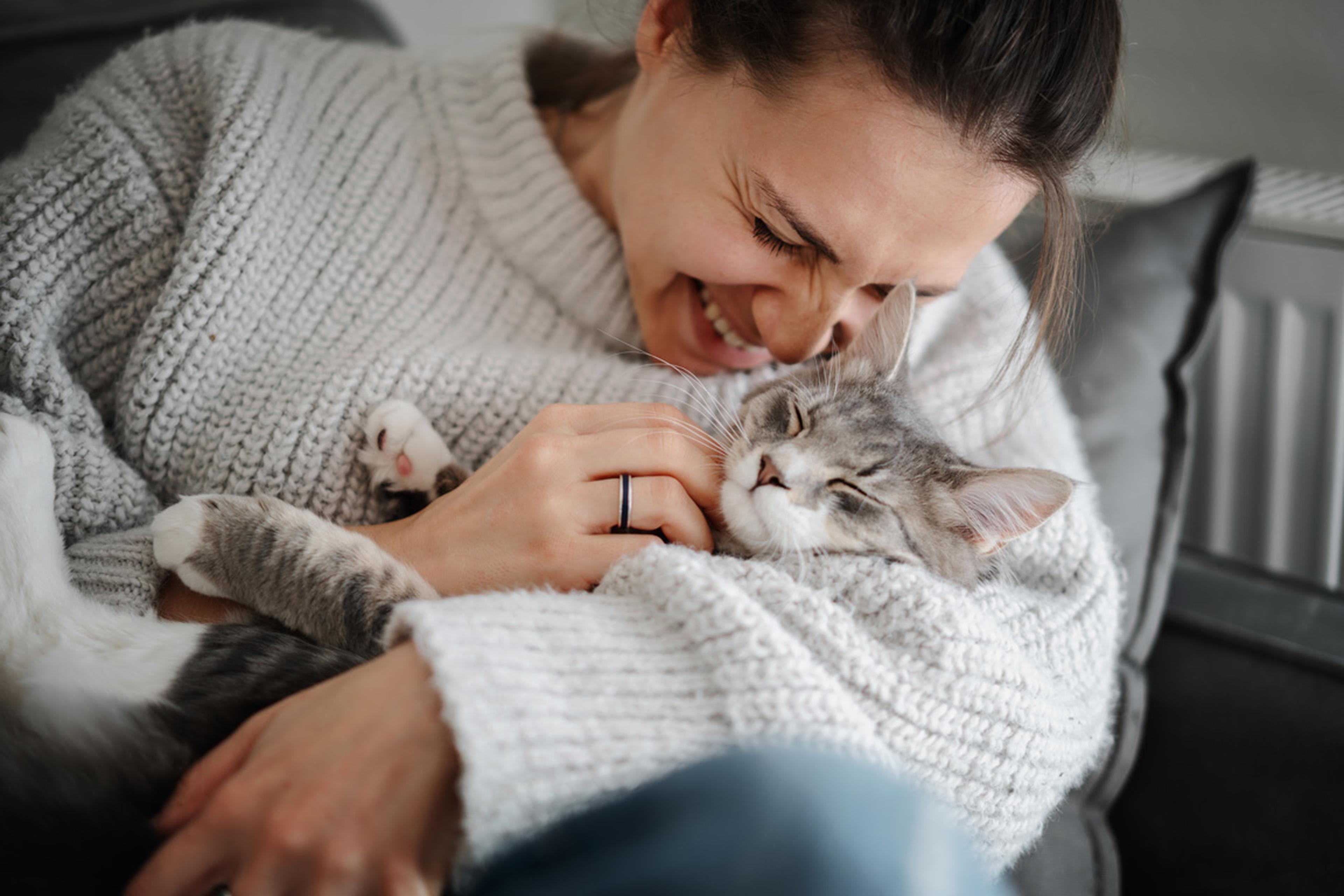 A woman cuddling and stroking a relaxed grey and white cat while smiling.