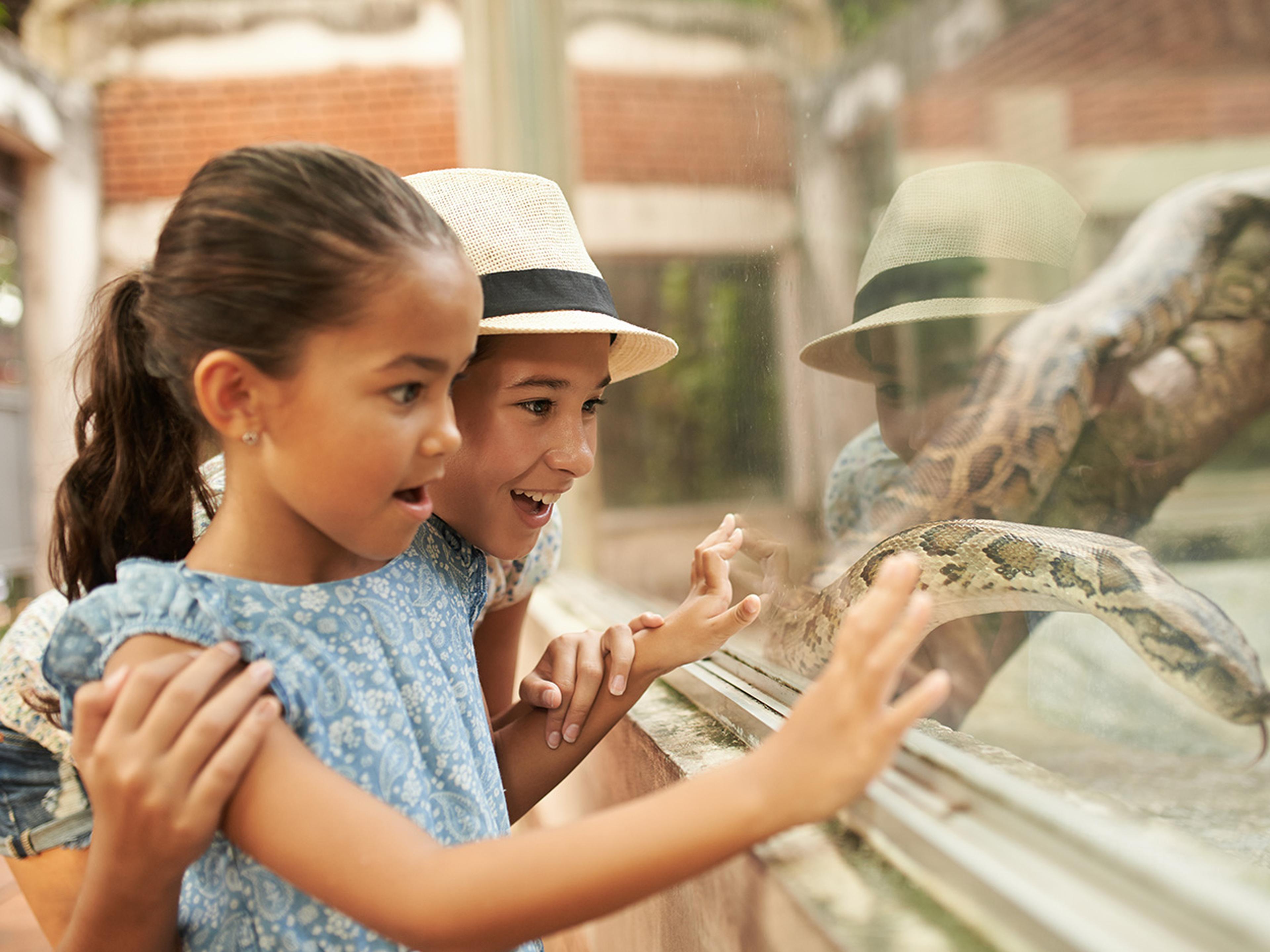 Two children excitedly observe a large snake through a glass enclosure, one wearing a straw hat, both with amazed expressions.